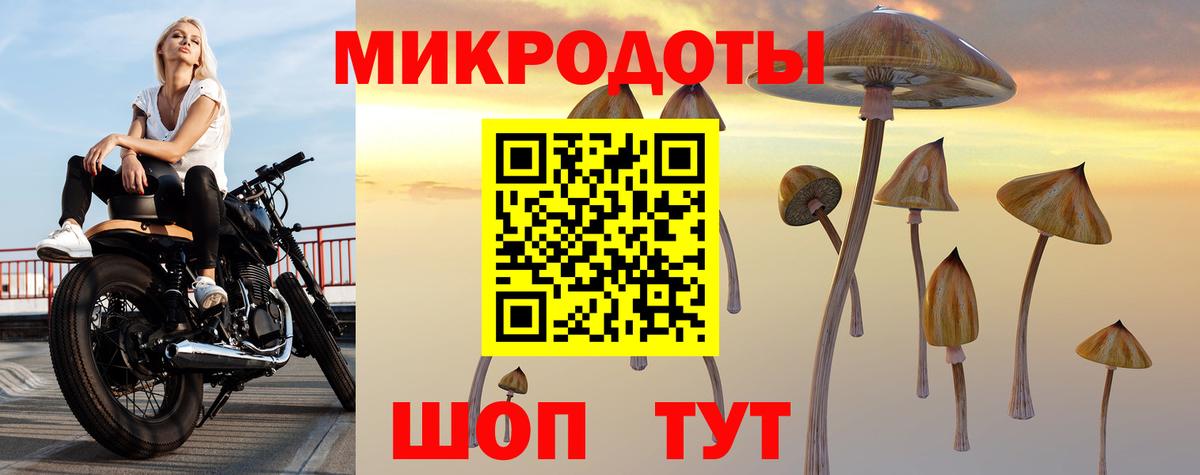 Ноябрьск  Псилоцибиновые грибы Magic Shrooms  Вход с VPN 