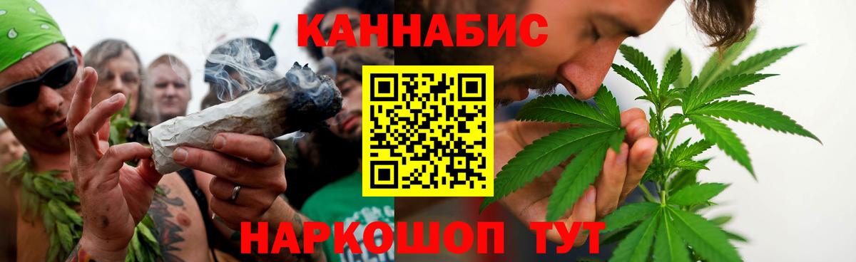 Бошки Шишки планчик Ноябрьск